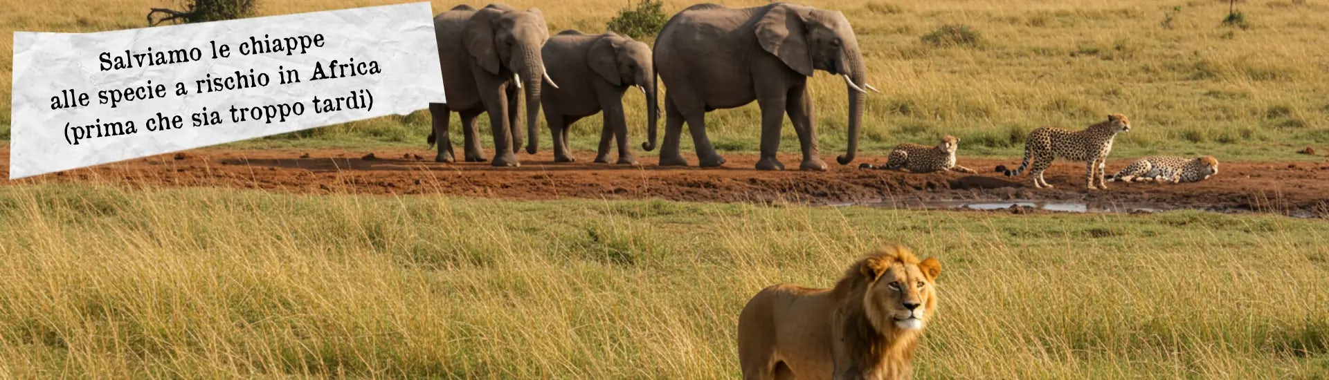 specie a rischio africa larga